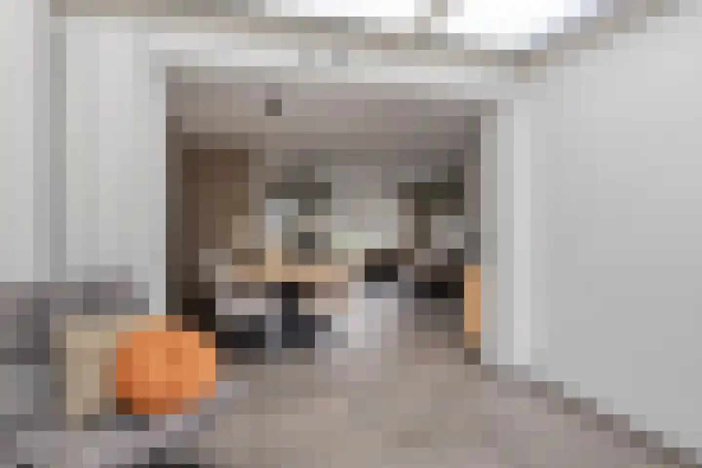 Mees 4 Boxmeer thumbnail 10