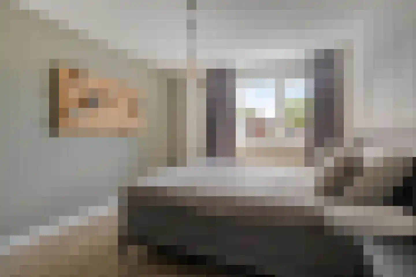 Mees 4 Boxmeer thumbnail 14