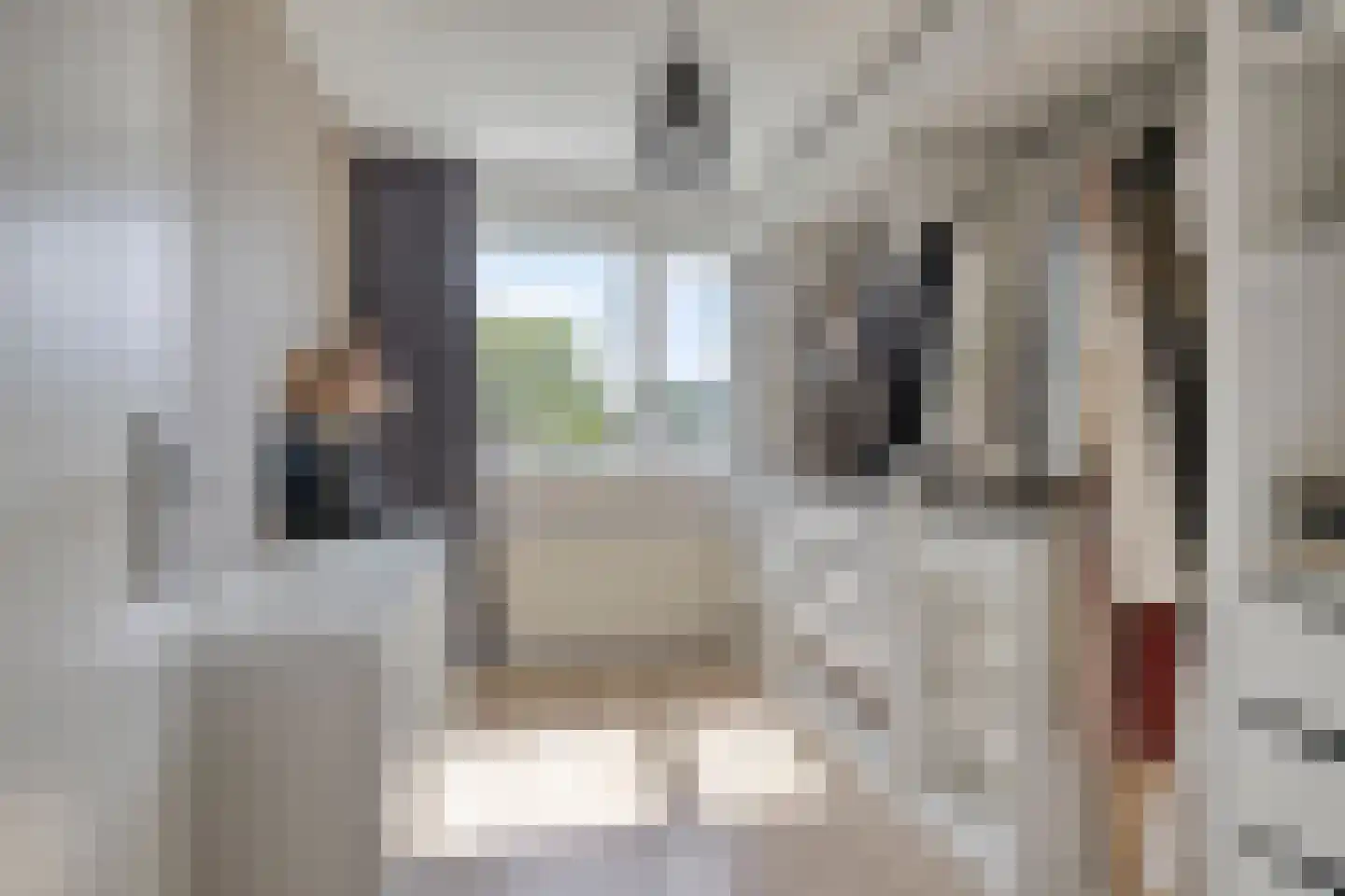Mees 4 Boxmeer thumbnail 16