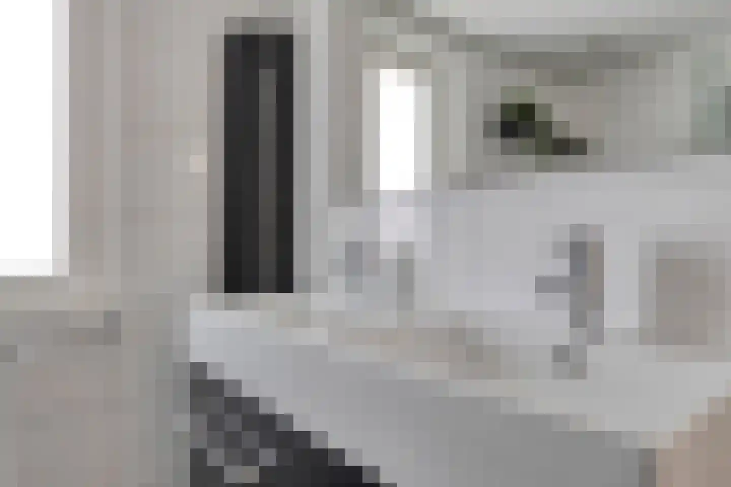 Mees 4 Boxmeer thumbnail 18