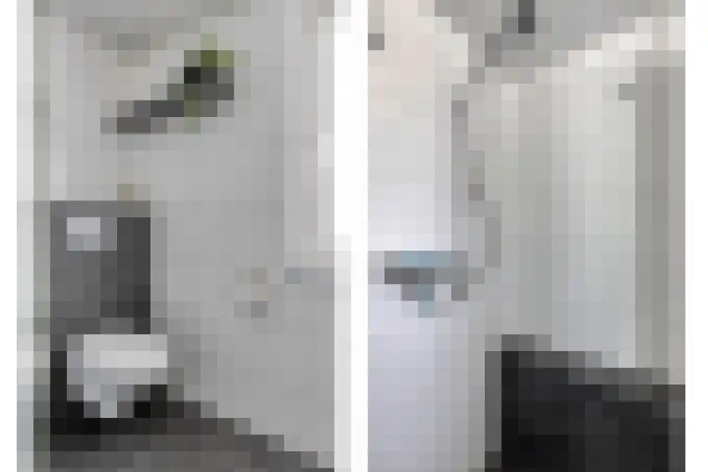 Mees 4 Boxmeer thumbnail 19