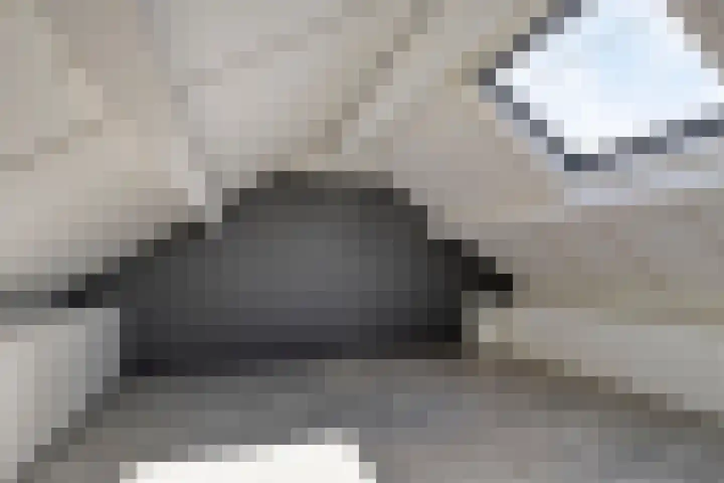 Mees 4 Boxmeer thumbnail 20