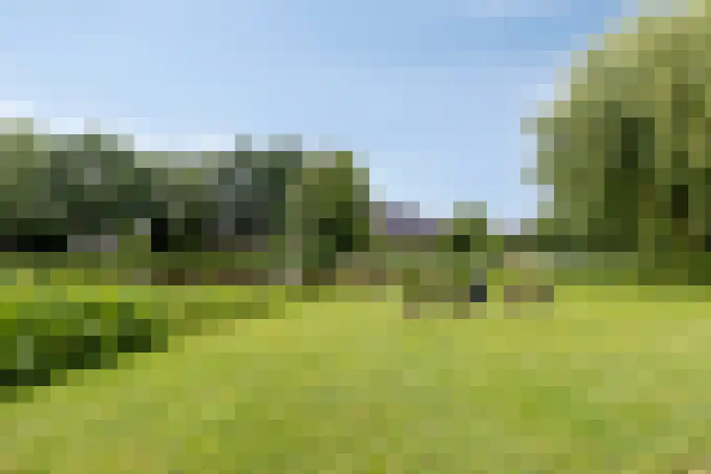 Mees 4 Boxmeer thumbnail 28