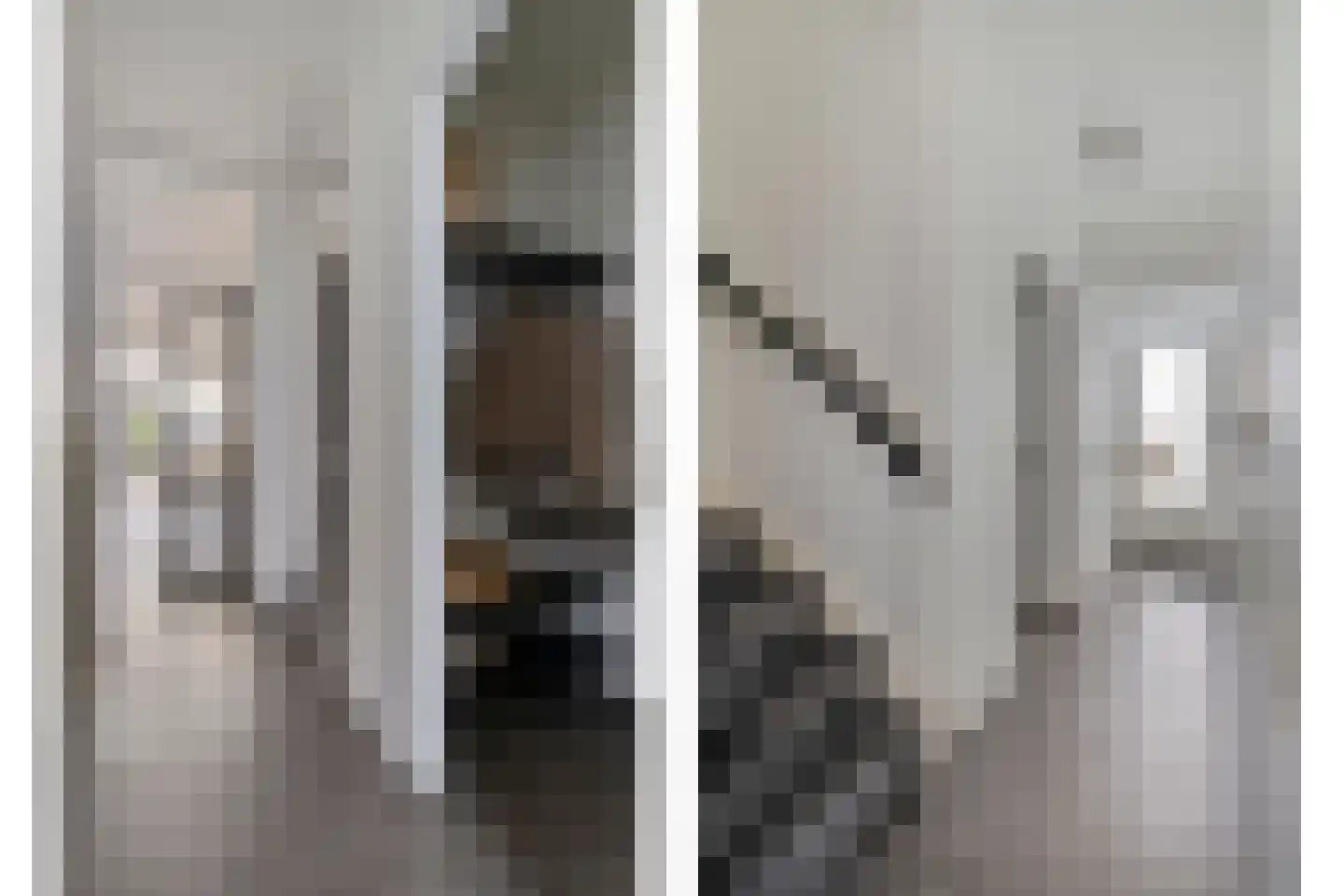 Mees 4 Boxmeer thumbnail 4