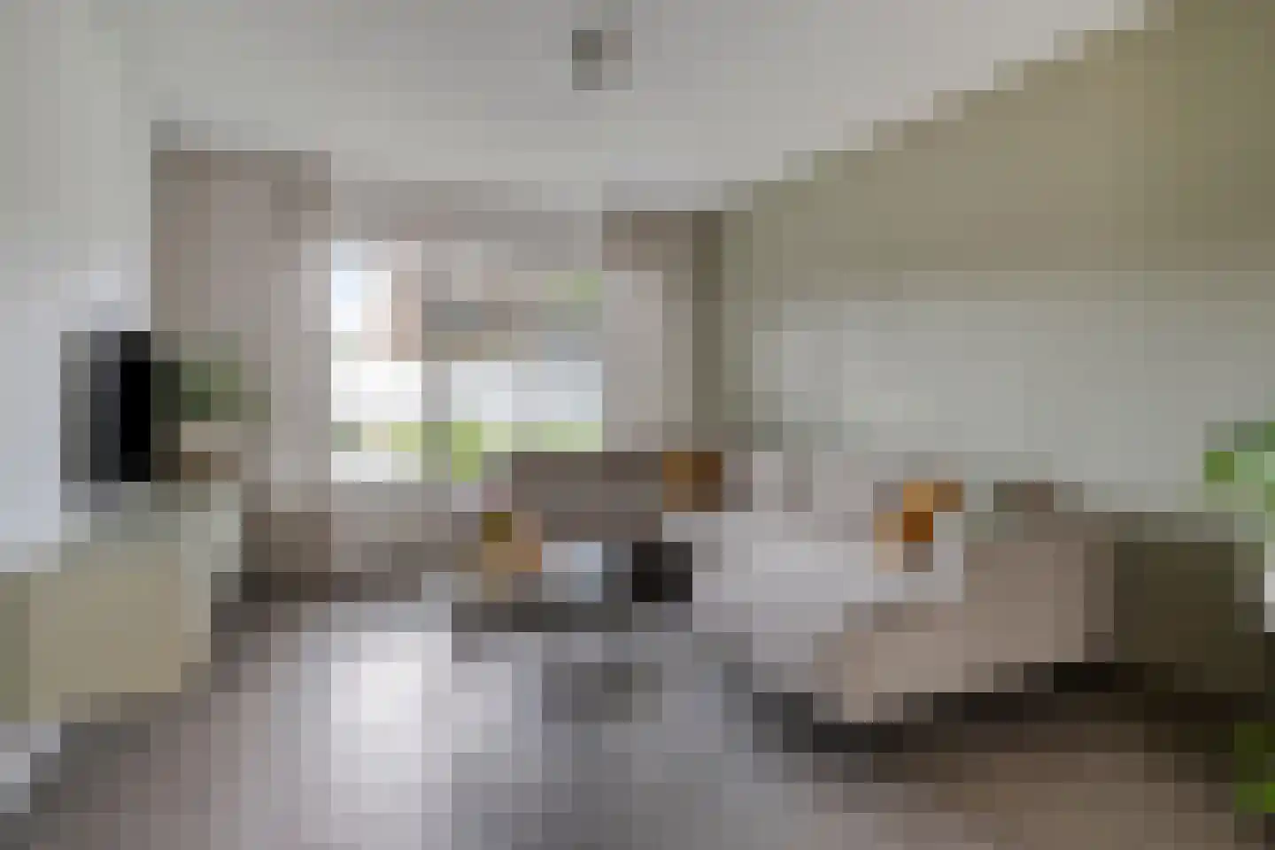 Mees 4 Boxmeer thumbnail 5