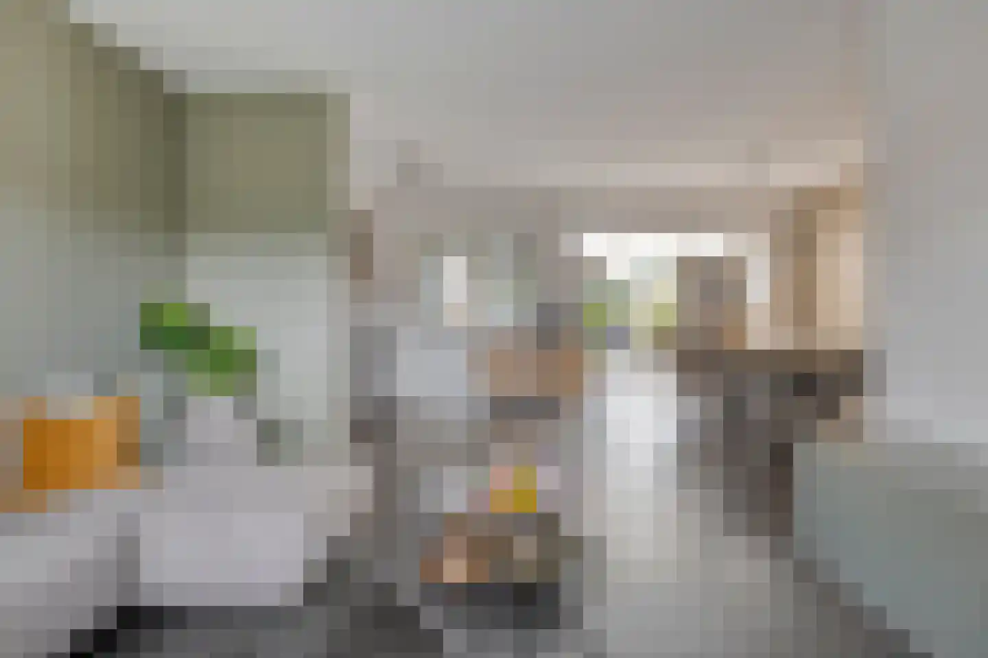 Mees 4 Boxmeer thumbnail 6
