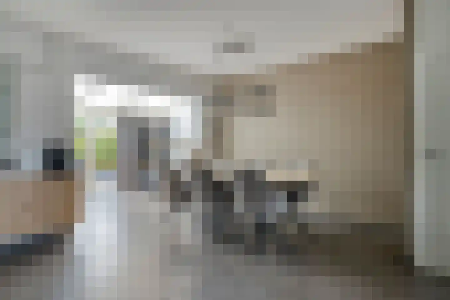 Mees 4 Boxmeer thumbnail 7