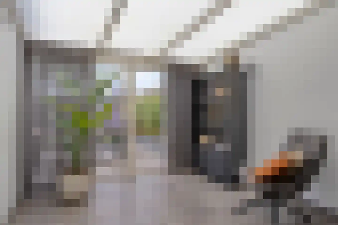 Mees 4 Boxmeer thumbnail 9