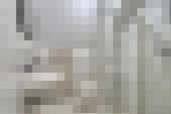 Mees Toxopeusrede 19 Capelle aan den IJssel thumbnail 14