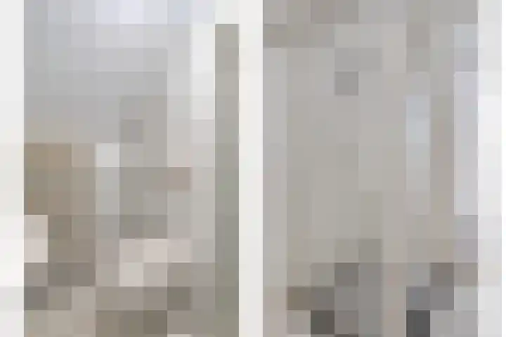 Mees Toxopeusrede 19 Capelle aan den IJssel thumbnail 15