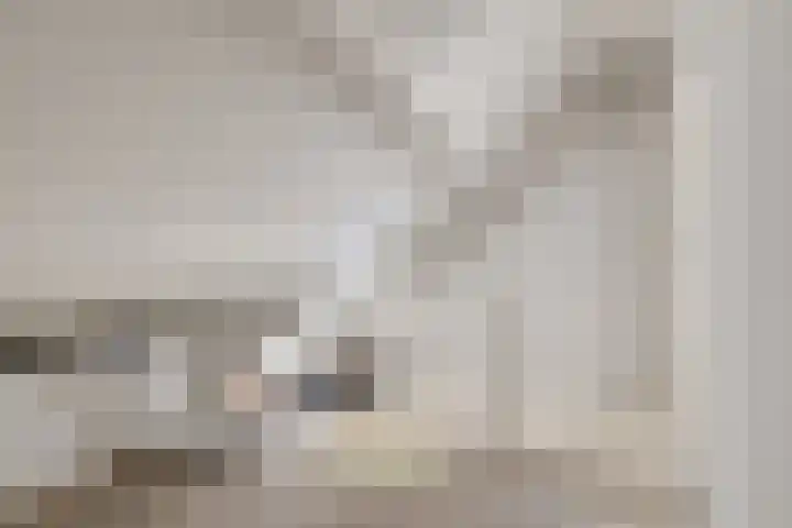 Mees Toxopeusrede 19 Capelle aan den IJssel thumbnail 16