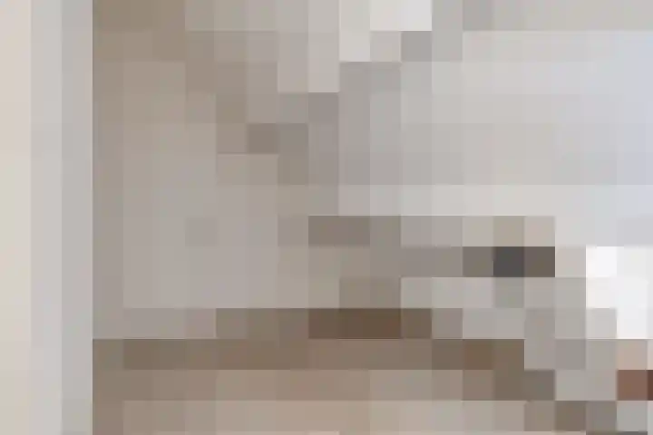 Mees Toxopeusrede 19 Capelle aan den IJssel thumbnail 17