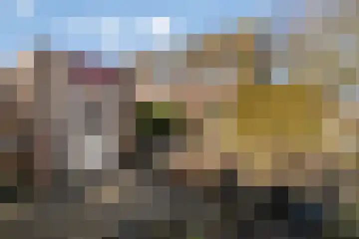 Mees Toxopeusrede 19 Capelle aan den IJssel thumbnail 20
