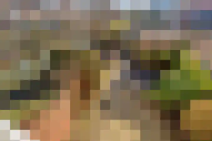 Mees Toxopeusrede 19 Capelle aan den IJssel thumbnail 21