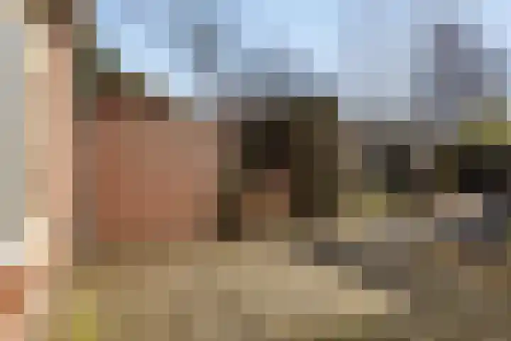 Mees Toxopeusrede 19 Capelle aan den IJssel thumbnail 22