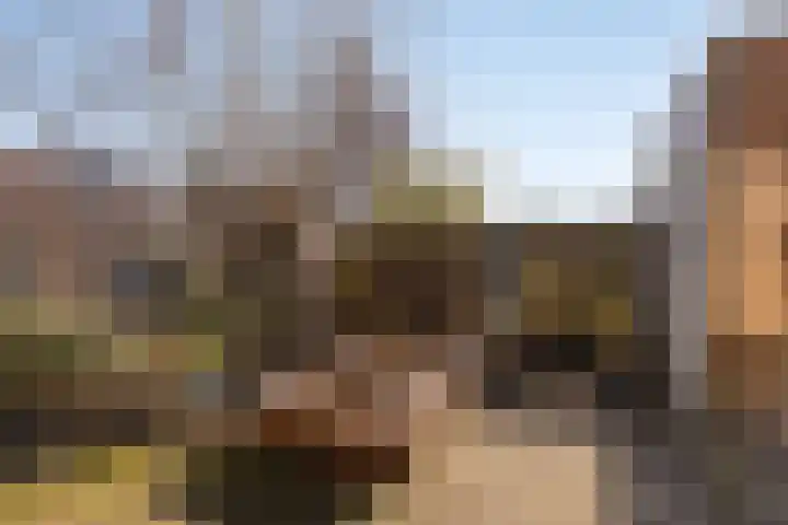 Mees Toxopeusrede 19 Capelle aan den IJssel thumbnail 24