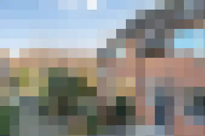 Mees Toxopeusrede 19 Capelle aan den IJssel thumbnail 25