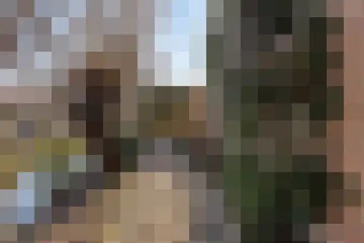 Mees Toxopeusrede 19 Capelle aan den IJssel thumbnail 27