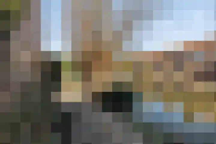 Mees Toxopeusrede 19 Capelle aan den IJssel thumbnail 28