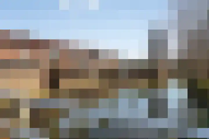 Mees Toxopeusrede 19 Capelle aan den IJssel thumbnail 30