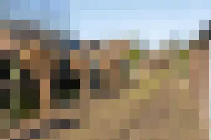 Mees Toxopeusrede 19 Capelle aan den IJssel thumbnail 31