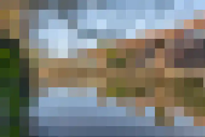 Mees Toxopeusrede 19 Capelle aan den IJssel thumbnail 32