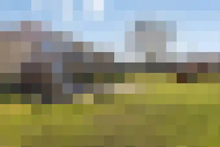 Mees Toxopeusrede 19 Capelle aan den IJssel thumbnail 35
