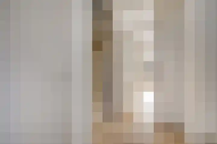 Mees Toxopeusrede 19 Capelle aan den IJssel thumbnail 5