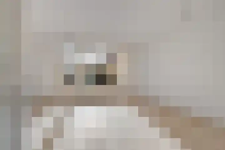 Mees Toxopeusrede 19 Capelle aan den IJssel thumbnail 9