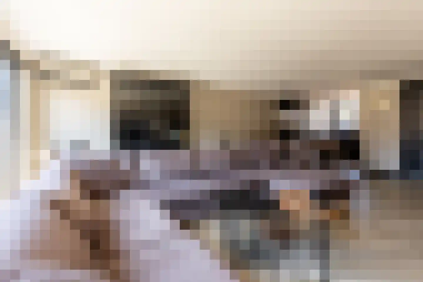 Mees Toxopeusrede 48 Capelle aan den IJssel thumbnail 12