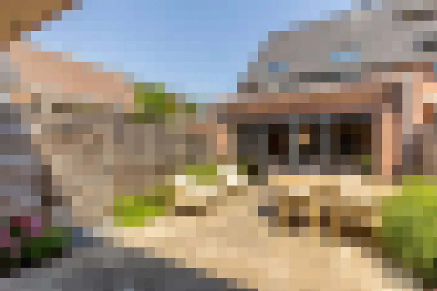 Mees Toxopeusrede 48 Capelle aan den IJssel thumbnail 20
