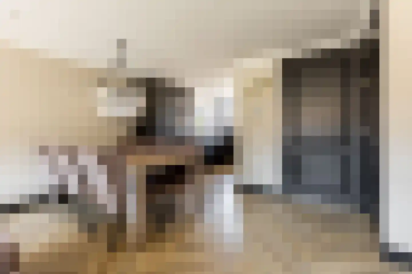 Mees Toxopeusrede 48 Capelle aan den IJssel thumbnail 24