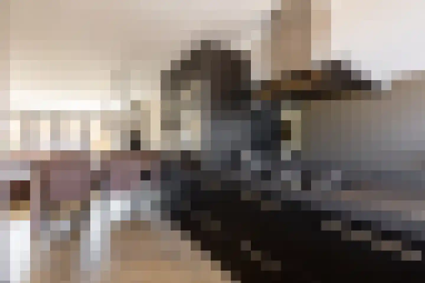 Mees Toxopeusrede 48 Capelle aan den IJssel thumbnail 28