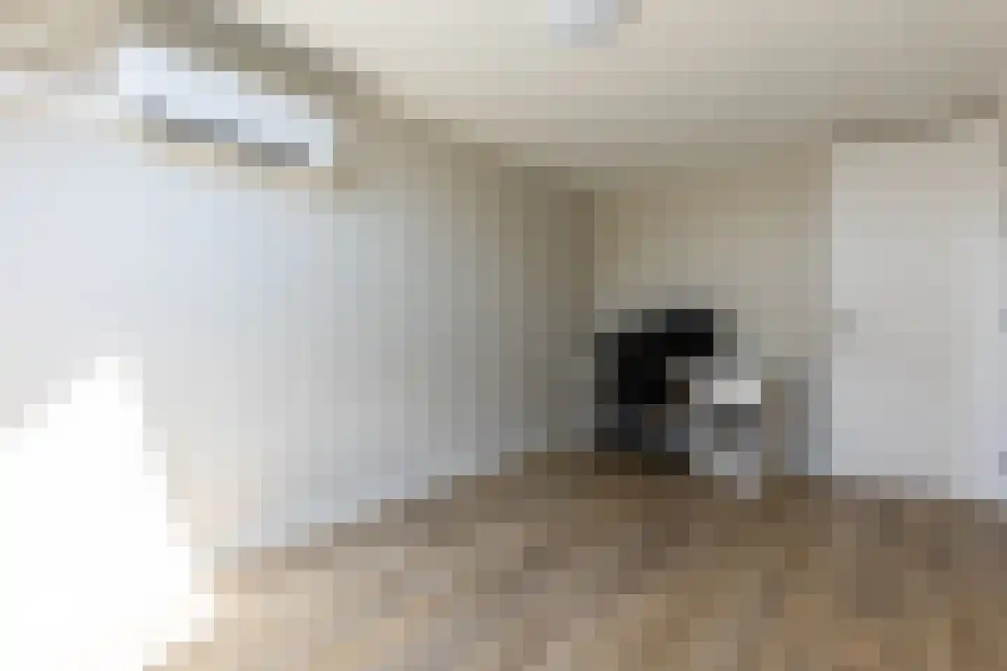 Mees Toxopeusrede 48 Capelle aan den IJssel thumbnail 33