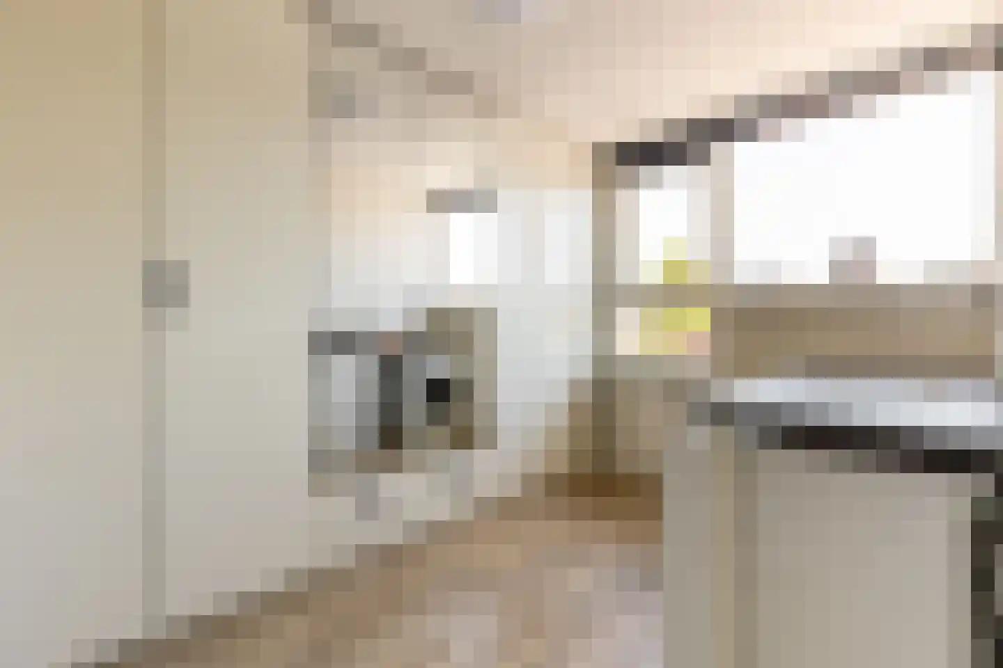 Mees Toxopeusrede 48 Capelle aan den IJssel thumbnail 38