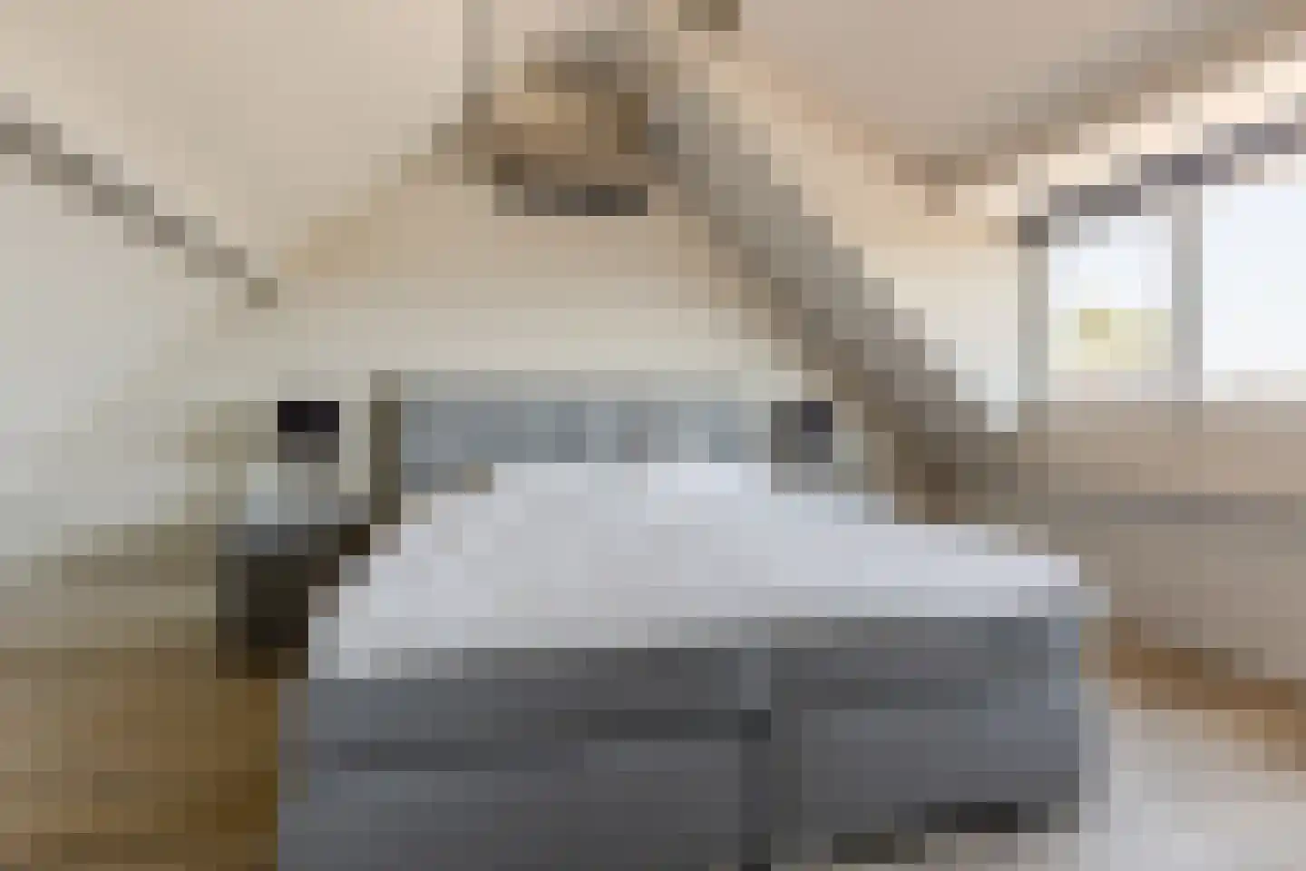 Mees Toxopeusrede 48 Capelle aan den IJssel thumbnail 4