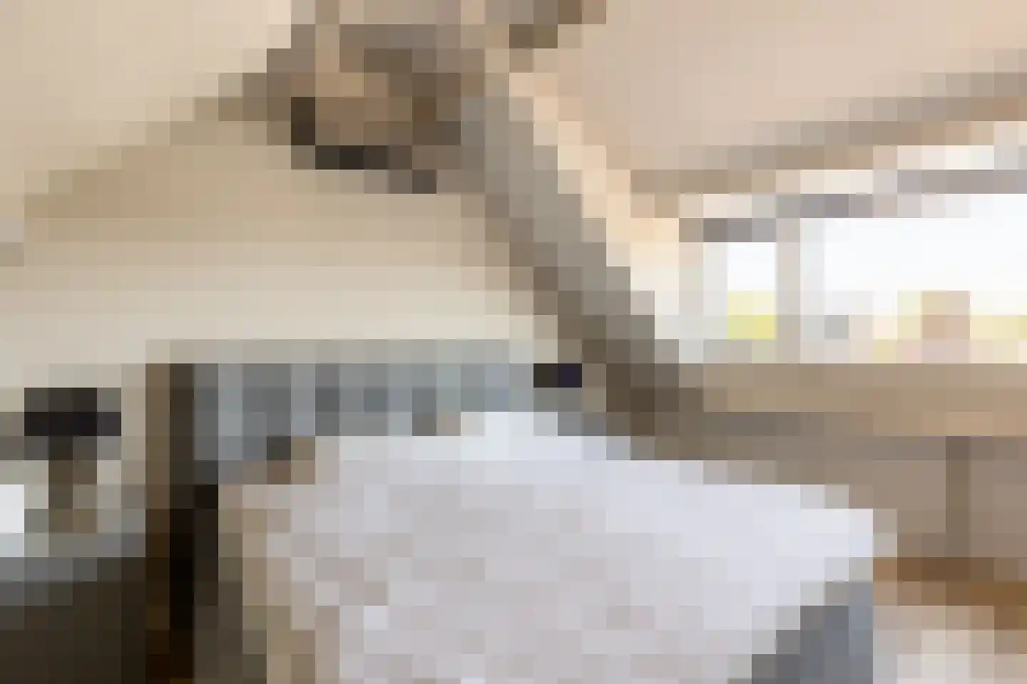 Mees Toxopeusrede 48 Capelle aan den IJssel thumbnail 43