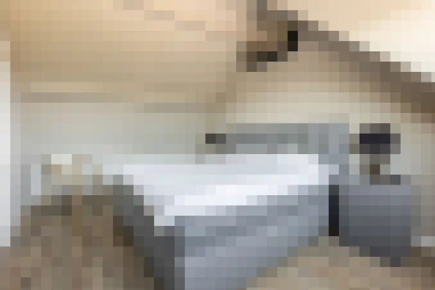 Mees Toxopeusrede 48 Capelle aan den IJssel thumbnail 44