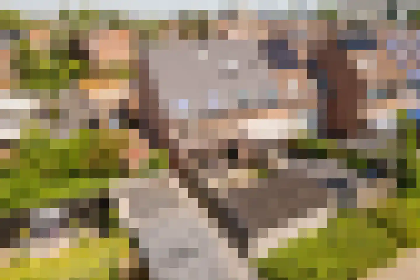Mees Toxopeusrede 48 Capelle aan den IJssel thumbnail 55