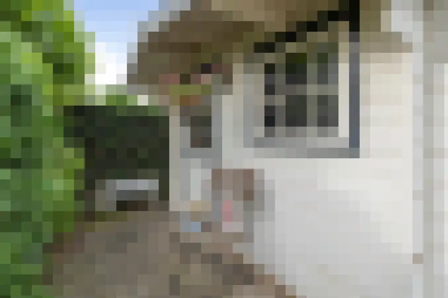 Meesberg 17 Roosendaal thumbnail 48