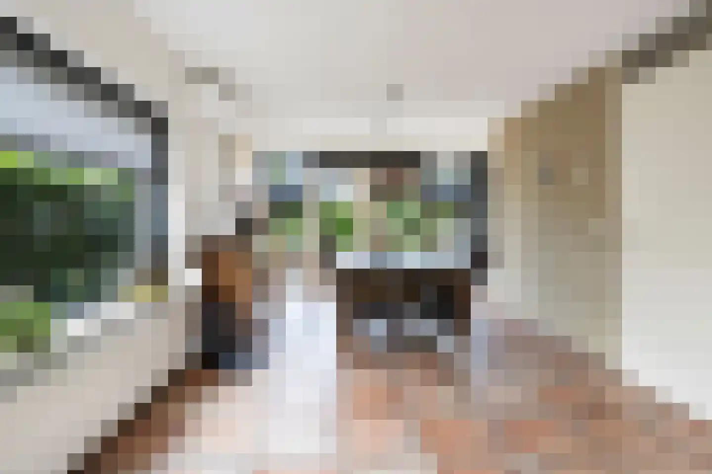 Meesberg 17 Roosendaal thumbnail 8