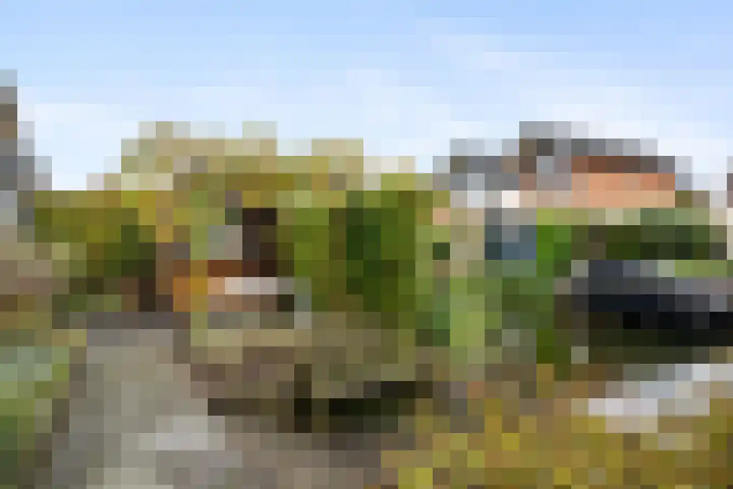 Meeshaven 10 Barendrecht thumbnail 51