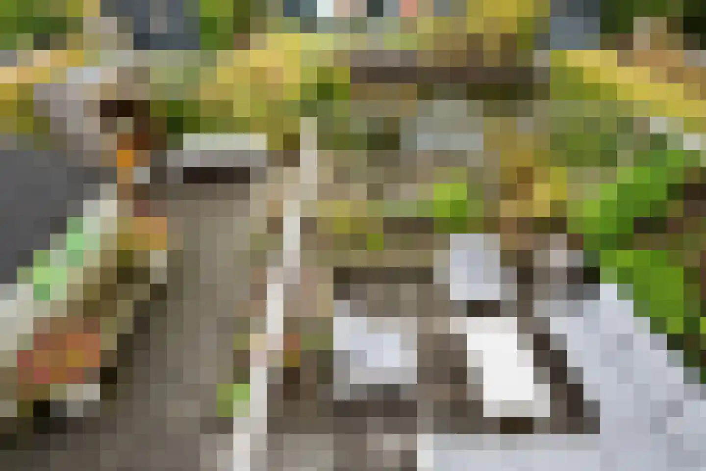 Meeshaven 10 Barendrecht thumbnail 52