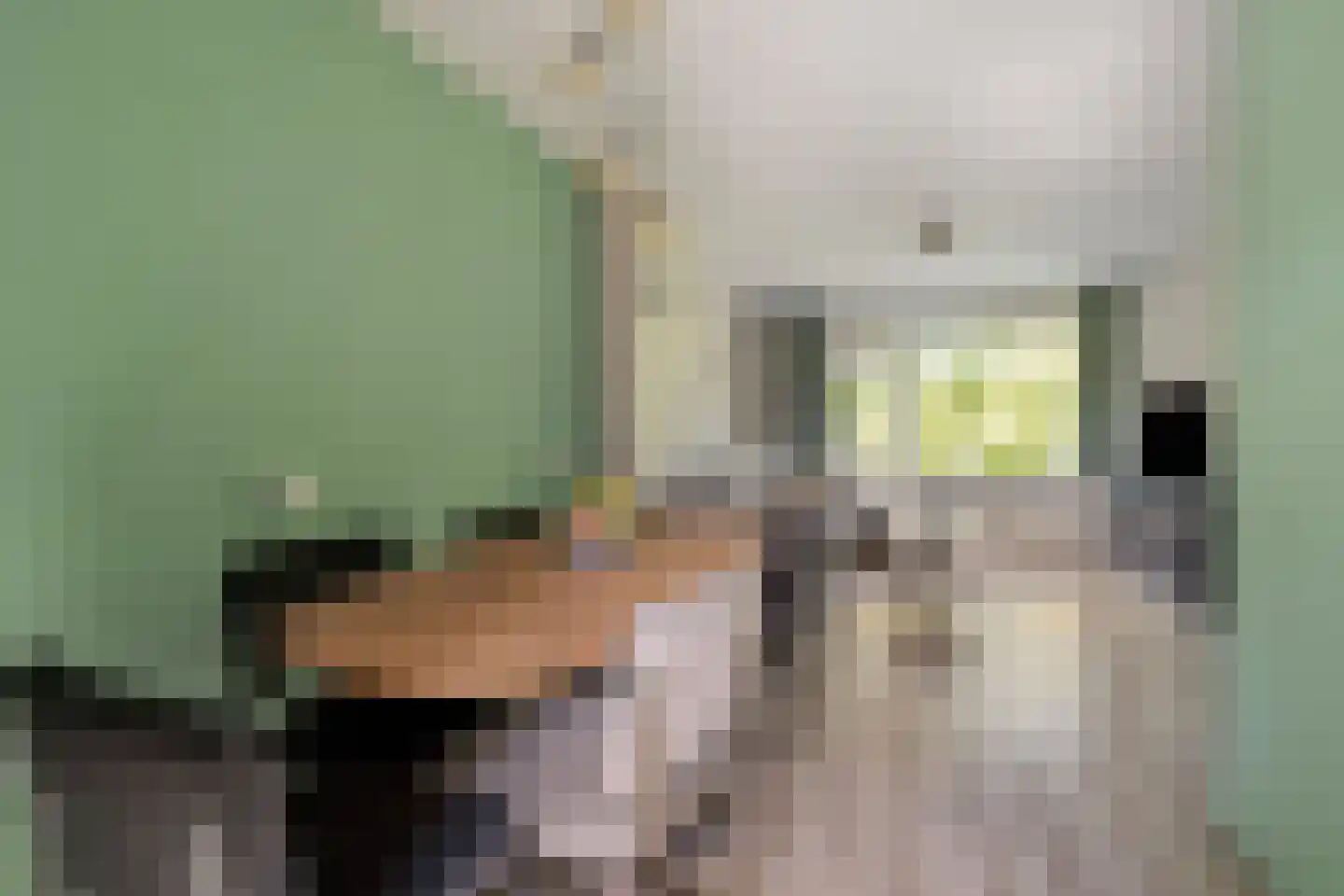 Meeslaan 18 Delft thumbnail 12