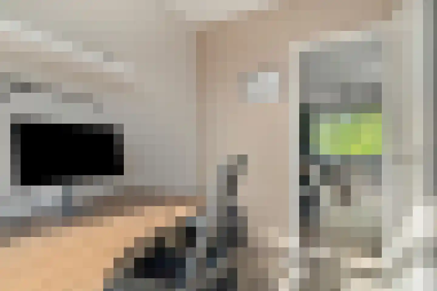 Meeslaan 18 Delft thumbnail 13