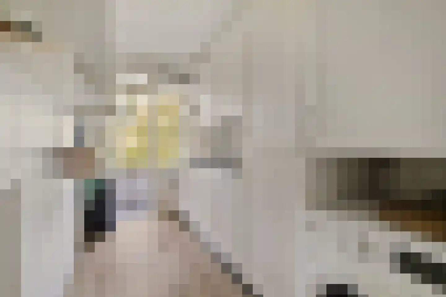 Meeslaan 18 Delft thumbnail 15