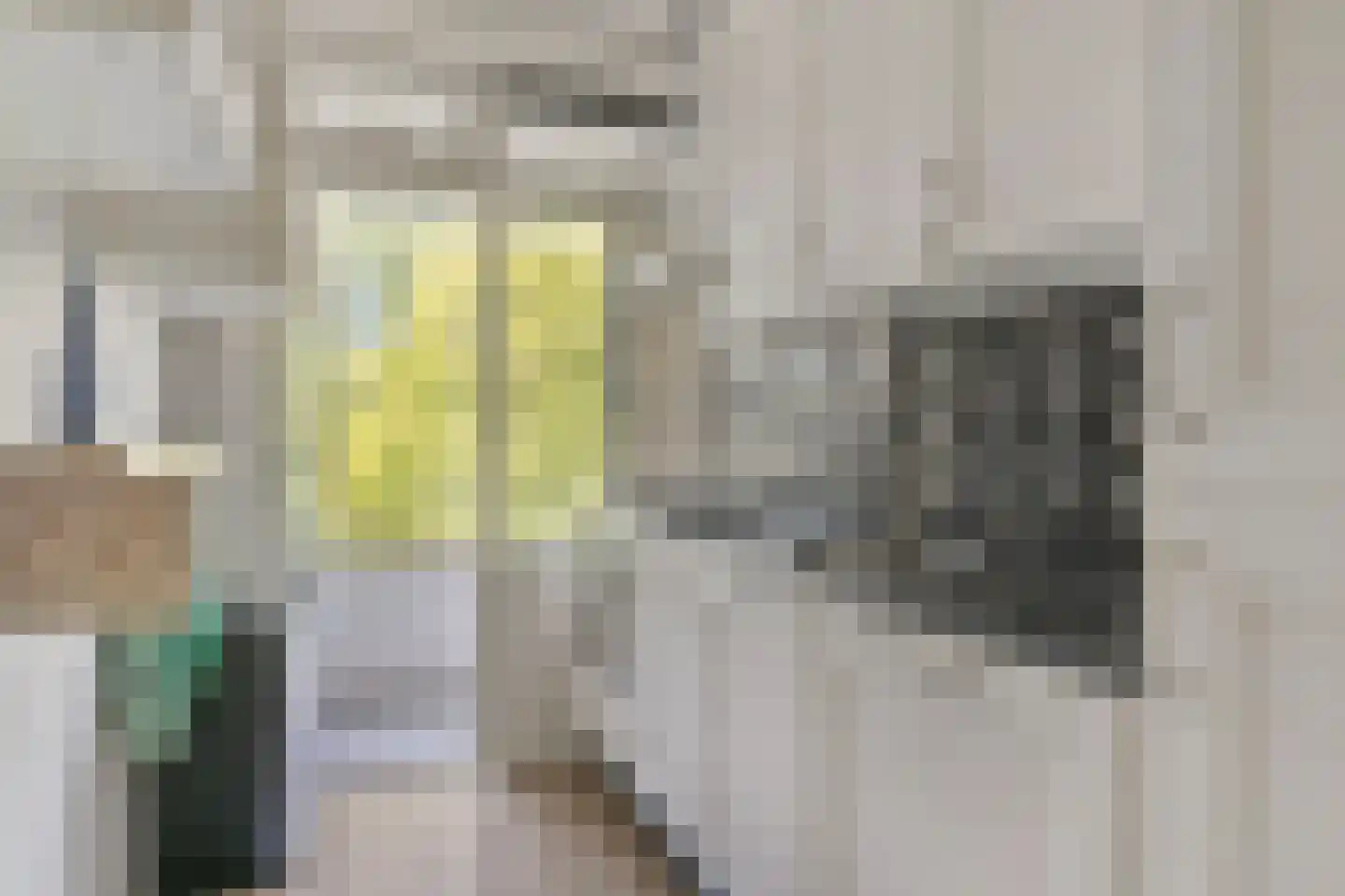 Meeslaan 18 Delft thumbnail 16