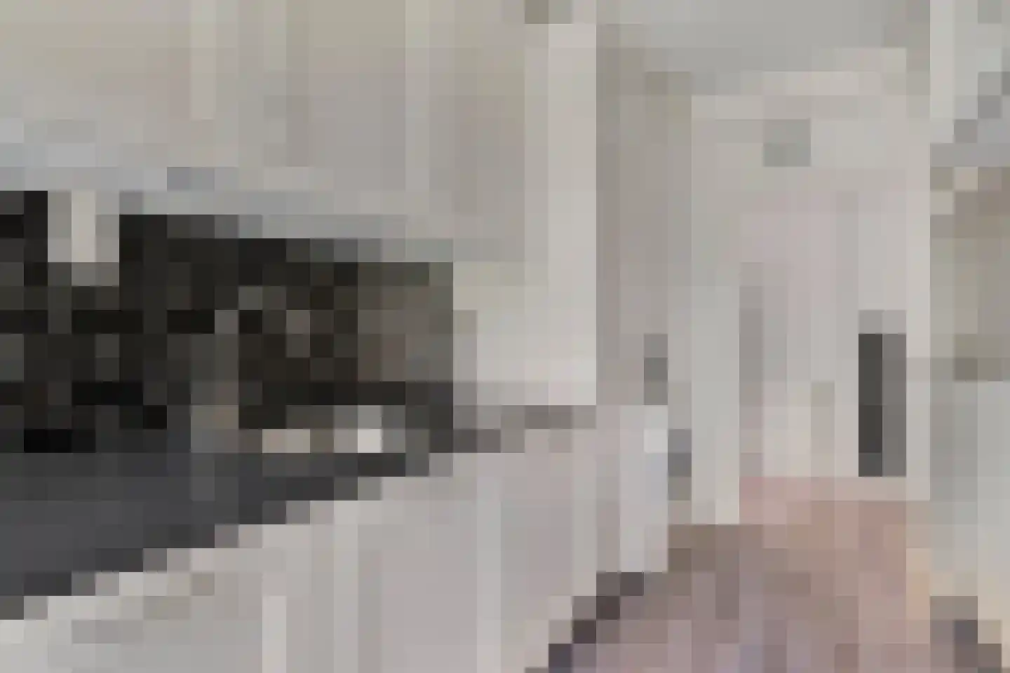 Meeslaan 18 Delft thumbnail 17