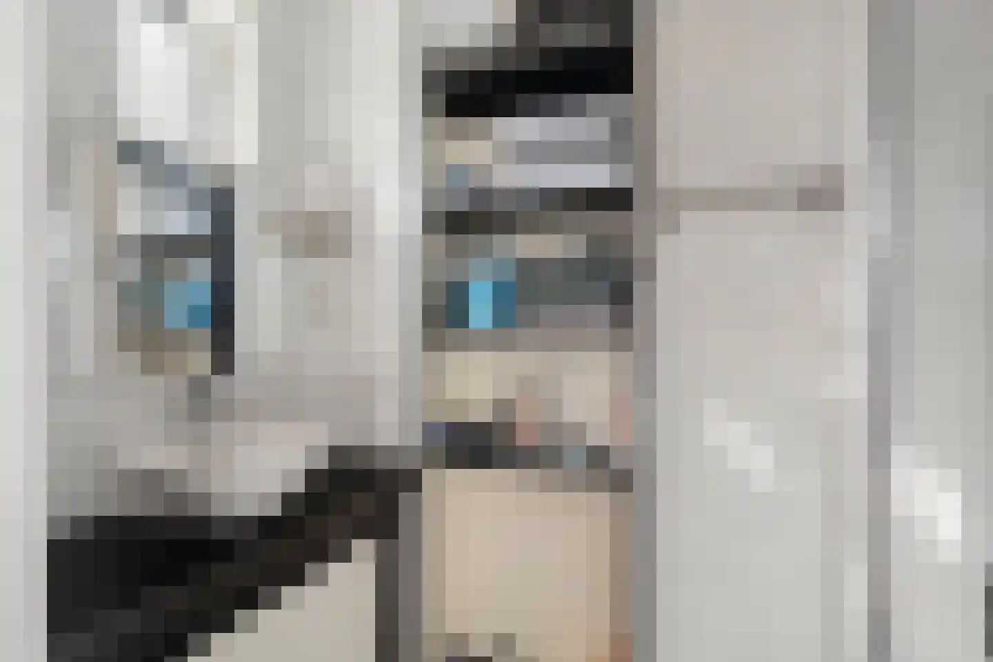 Meeslaan 18 Delft thumbnail 22