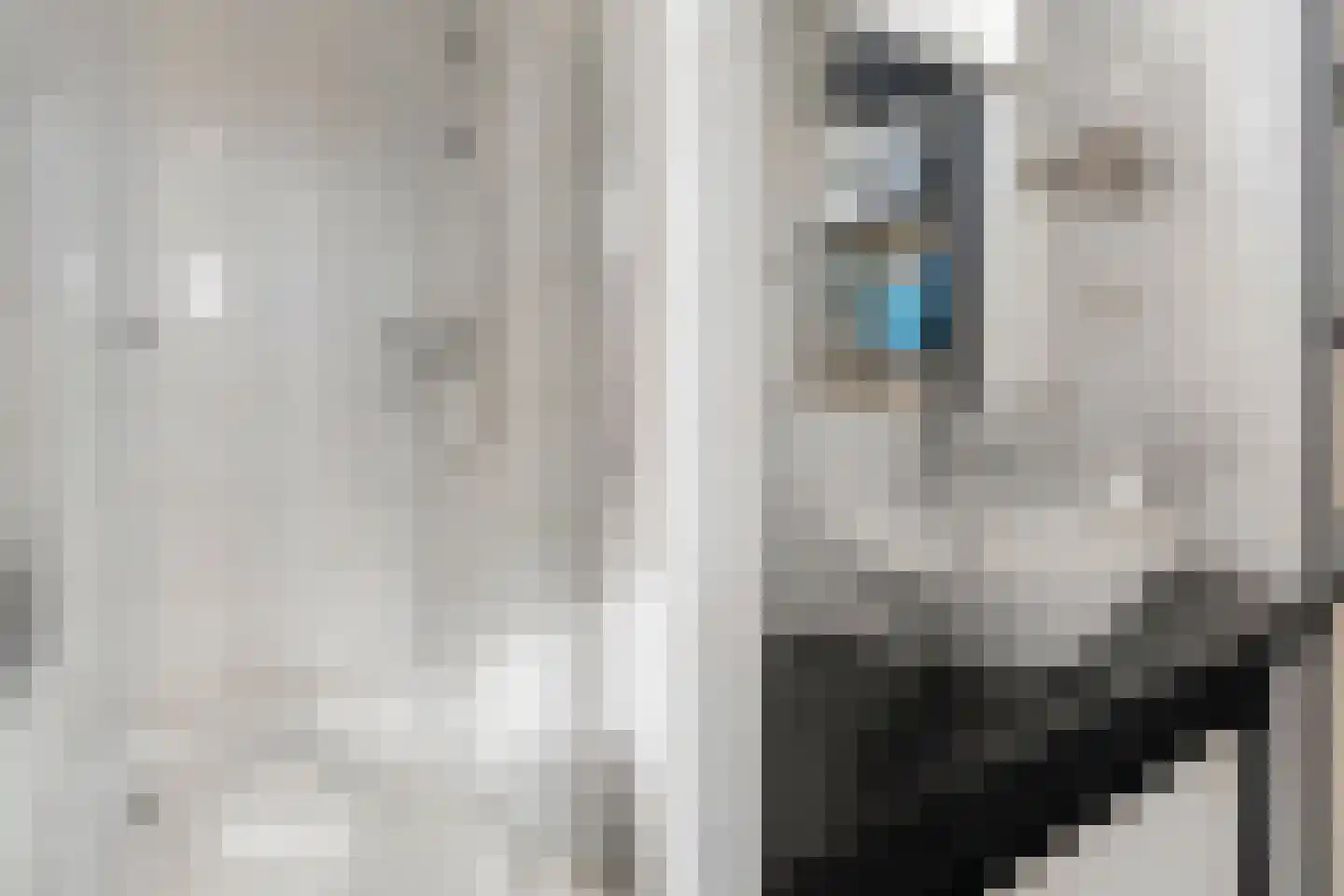 Meeslaan 18 Delft thumbnail 24